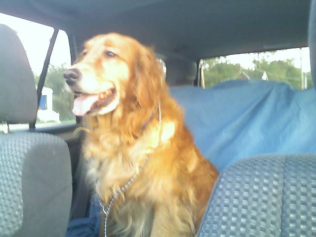 Casey-20080924.jpg